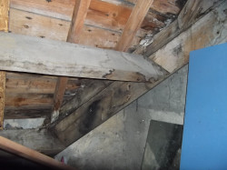 Diagnostic humidité par un expert pour la vente d'une maison à Rennes