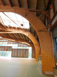 Expert indépendant pour charpente bois abîmée par pourriture et infiltration de toiture à Rennes