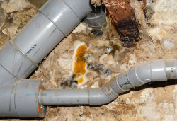 Expert d'assuré pour un sinistre dégâts des eaux dans le Morbihan